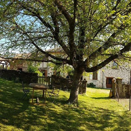 Saint-Martin-le-Vieux La Fromagerie B&B 외부 사진