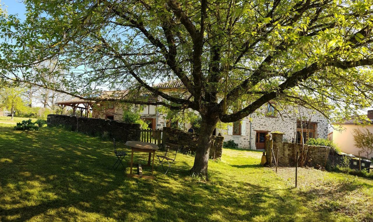 Saint-Martin-le-Vieux La Fromagerie B&B 외부 사진