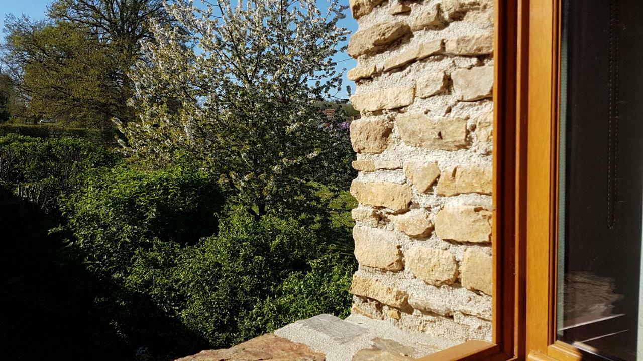 Saint-Martin-le-Vieux La Fromagerie B&B 외부 사진